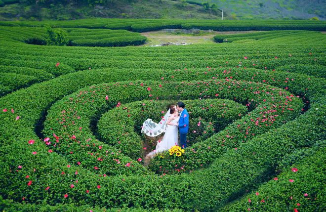 Mộc Châu - Sơn La rất lãng mạn để chụp ảnh cưới đẹp